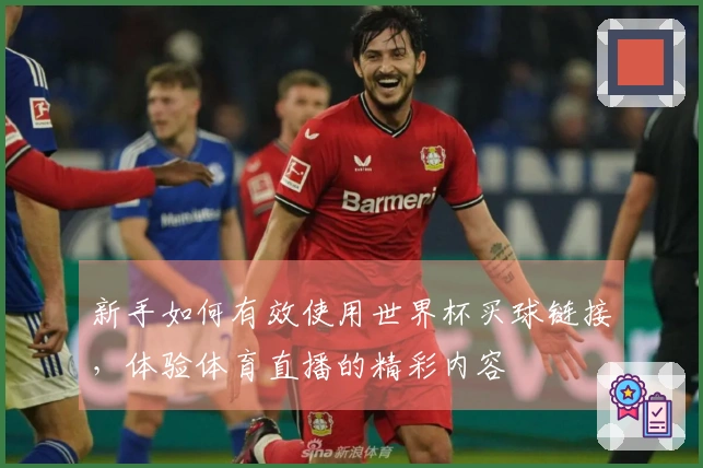 新手如何有效使用世界杯买球链接，体验体育直播的精彩内容