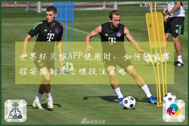 世界杯买球APP使用时，如何根据赛程安排制定合理投注策略？