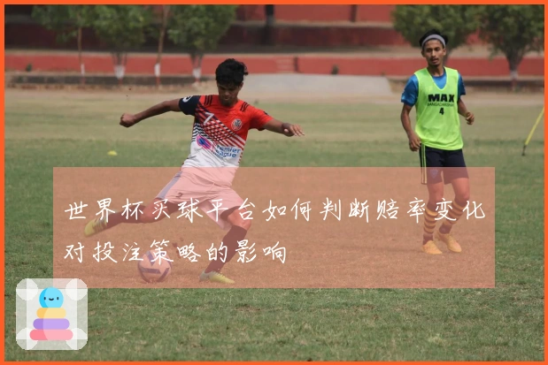 世界杯买球平台如何判断赔率变化对投注策略的影响