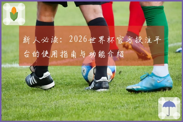 新人必读：2026世界杯官方投注平台的使用指南与功能介绍