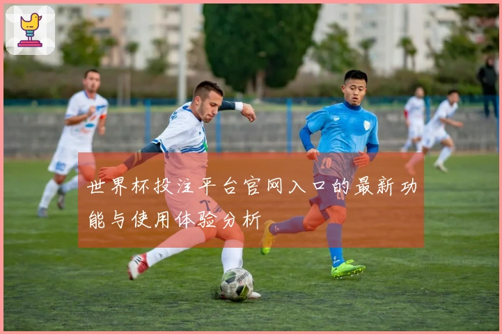 世界杯投注平台官网入口的最新功能与使用体验分析