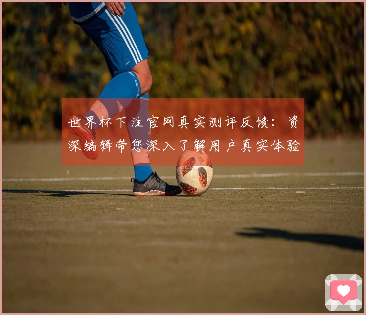 世界杯下注官网真实测评反馈：资深编辑带您深入了解用户真实体验与实用功能