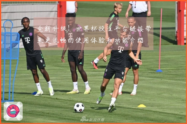 全新升级!世界杯投注平台链接带来更流畅的使用体验和功能介绍