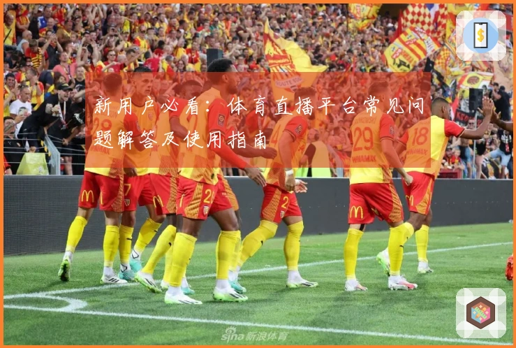 新用户必看：体育直播平台常见问题解答及使用指南