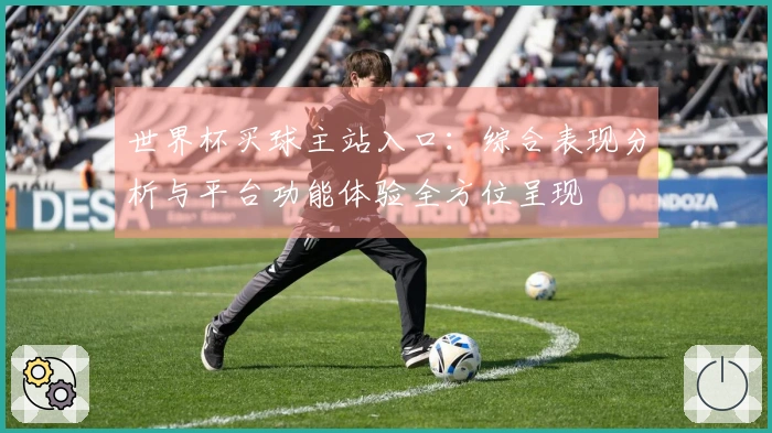 世界杯买球主站入口:综合表现分析与平台功能体验全方位呈现