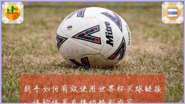 新手如何有效使用世界杯买球链接,体验体育直播的精彩内容