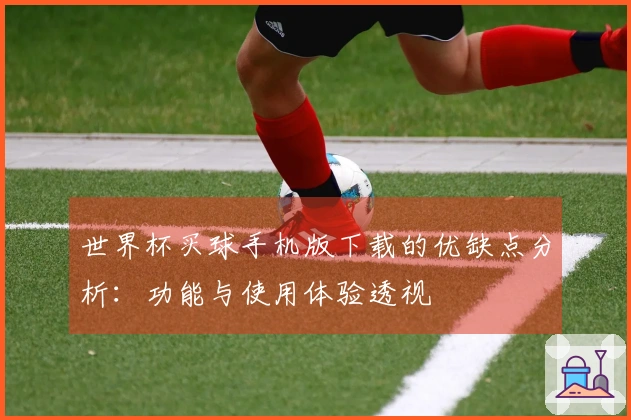 世界杯买球手机版下载的优缺点分析:功能与使用体验透视